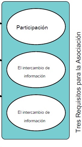 BIWA PARTICIPACION